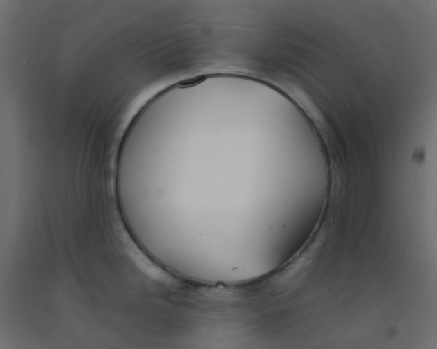 X0000092101246200710101115