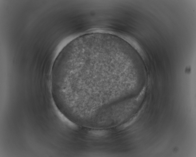 X0000092101247200710101115