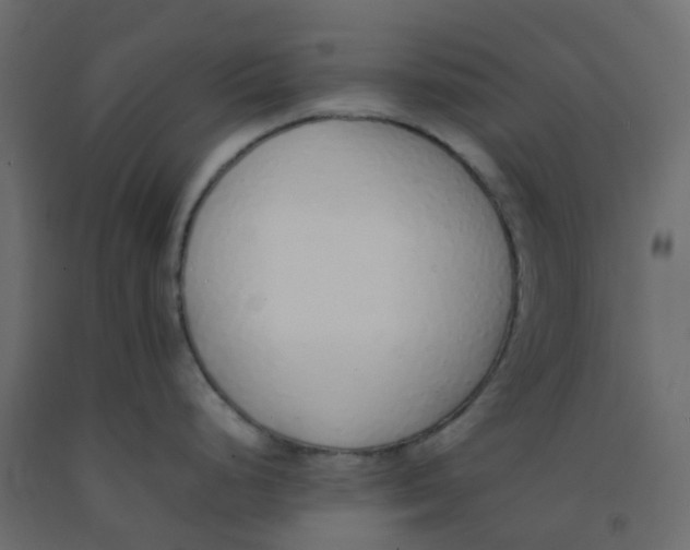 X0000092101248200710101115