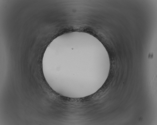 X0000092101249200710101114