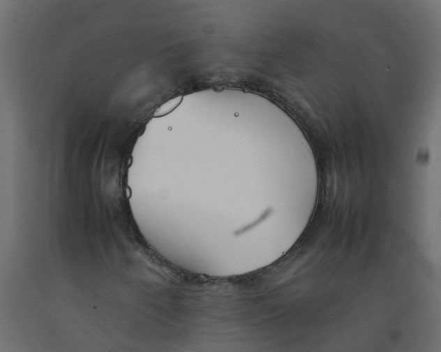 X0000092101250200710101114