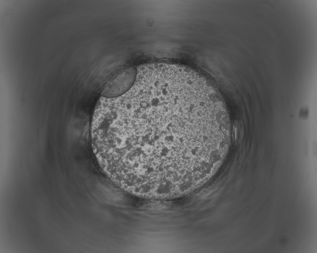 X0000092101251200710101114