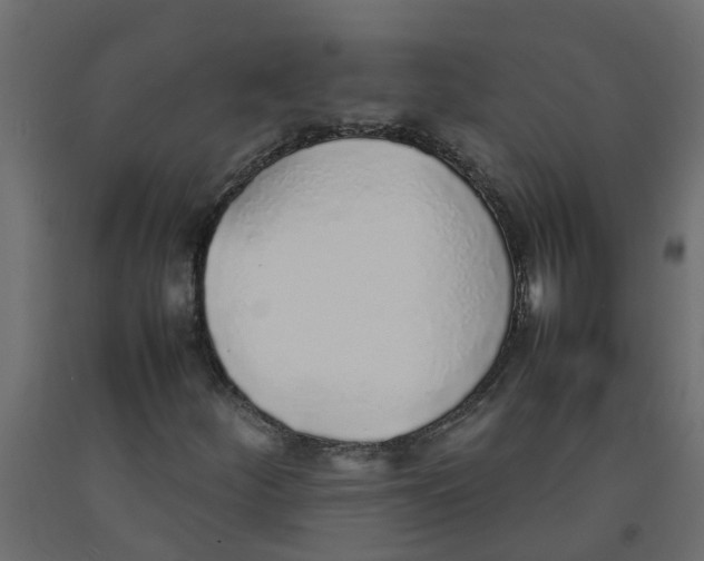 X0000092101252200710101114