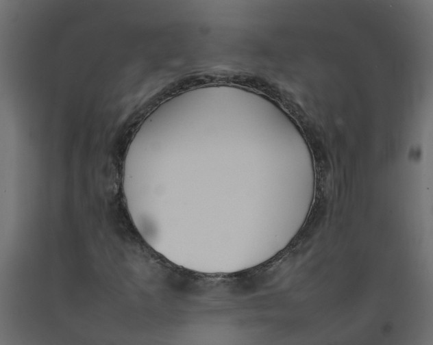 X0000092101253200710101114