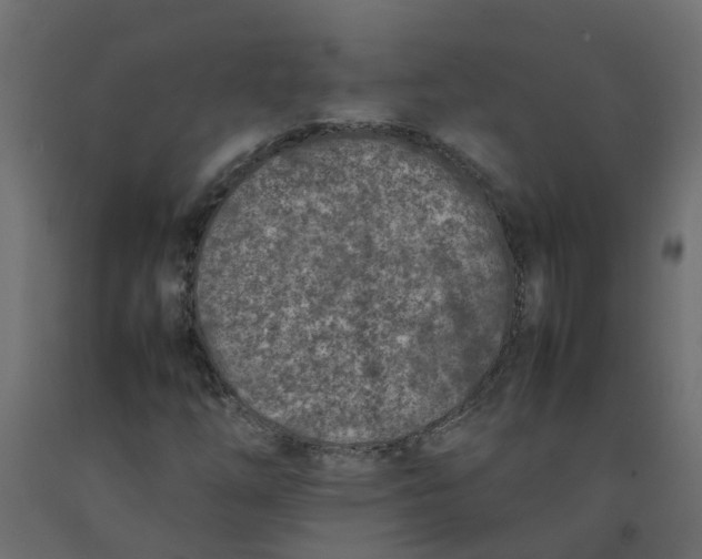 X0000092101254200710101114