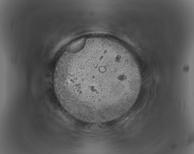 X0000092101255200710101114