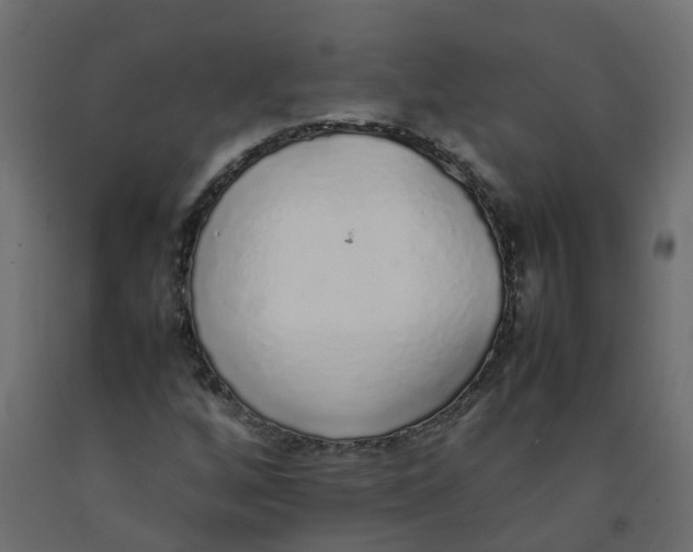 X0000092101256200710101114