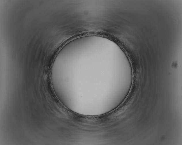 X0000092101257200710101114