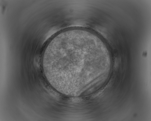 X0000092101258200710101114