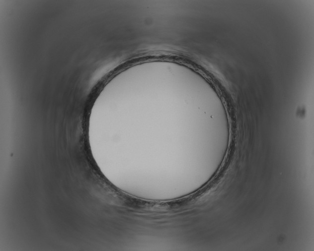 X0000092101261200710101114