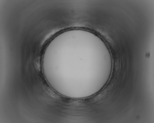 X0000092101262200710101114