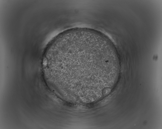 X0000092101263200710101114