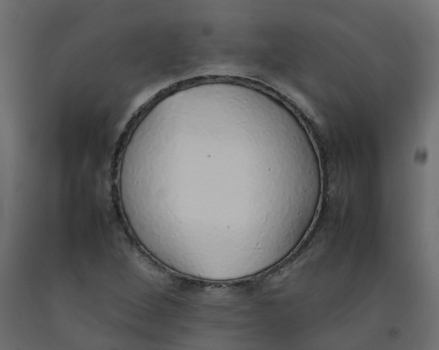 X0000092101264200710101114