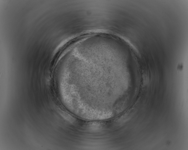 X0000092101266200710101114