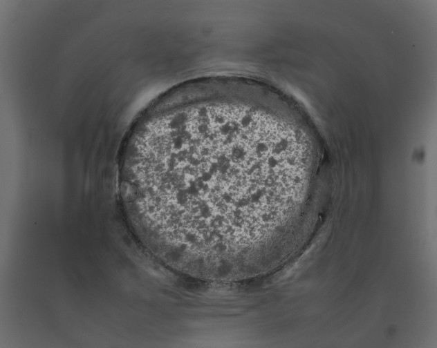 X0000092101267200710101114