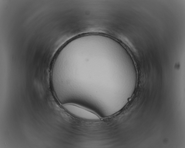 X0000092101268200710101114