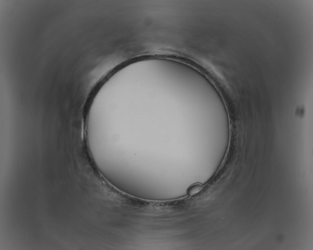 X0000092101269200710101114