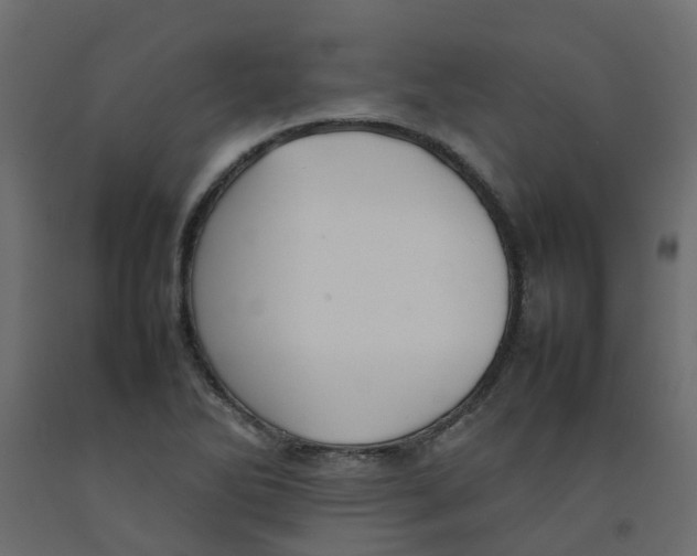 X0000092101270200710101114