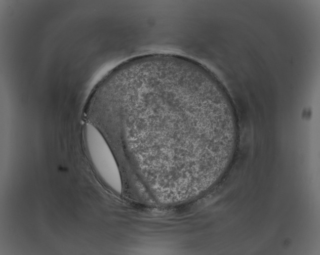 X0000092101271200710101114