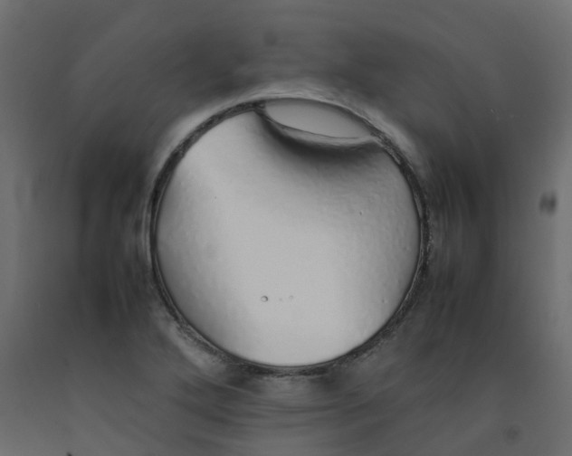 X0000092101272200710101114