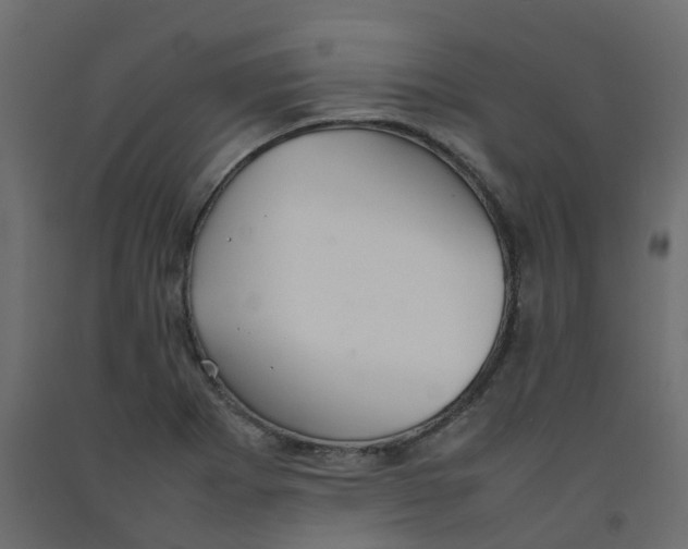 X0000092101273200710101114