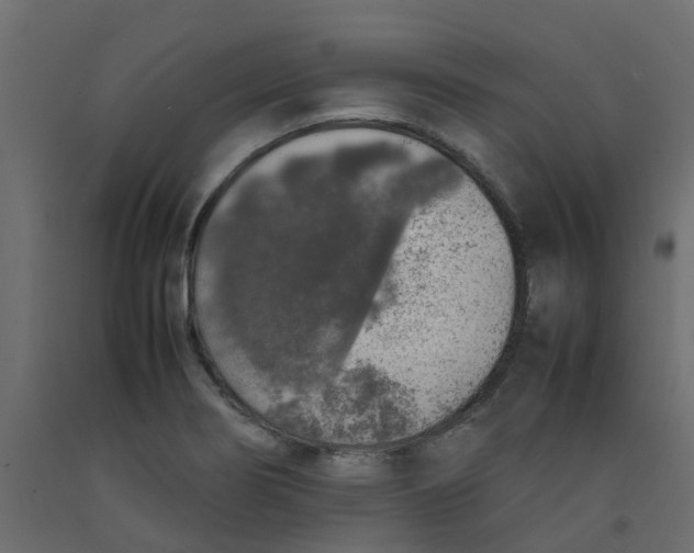 X0000092101274200710101114