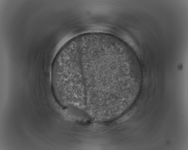 X0000092101275200710101114