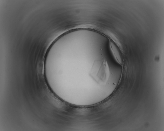 X0000092101276200710101114