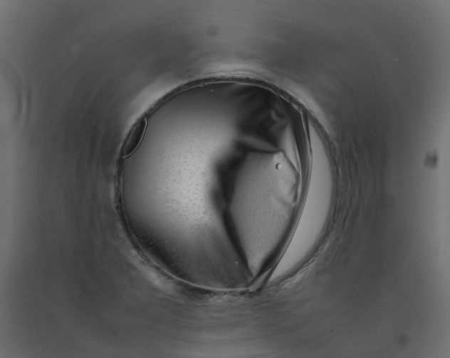 X0000092101277200710101114