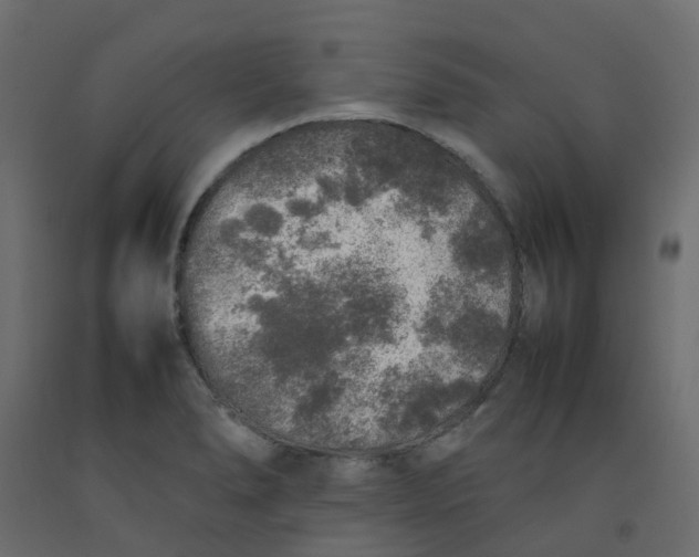 X0000092101278200710101114