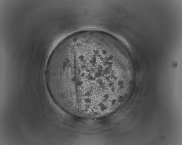 X0000092101279200710101114