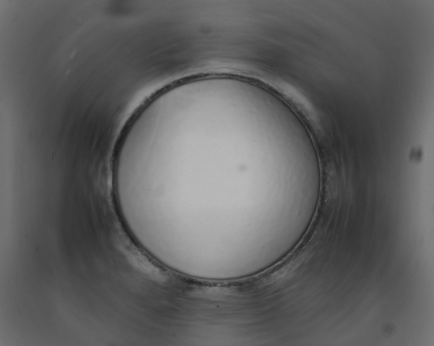 X0000092101280200710101114