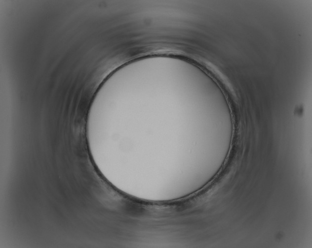 X0000092101281200710101114