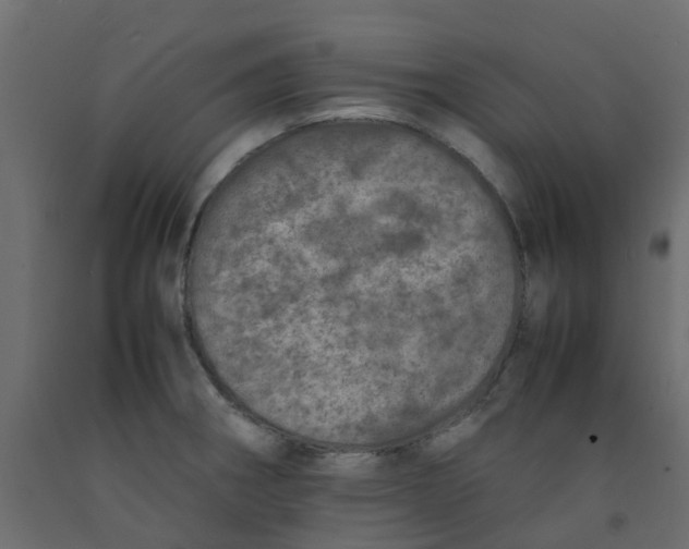 X0000092101282200710101114