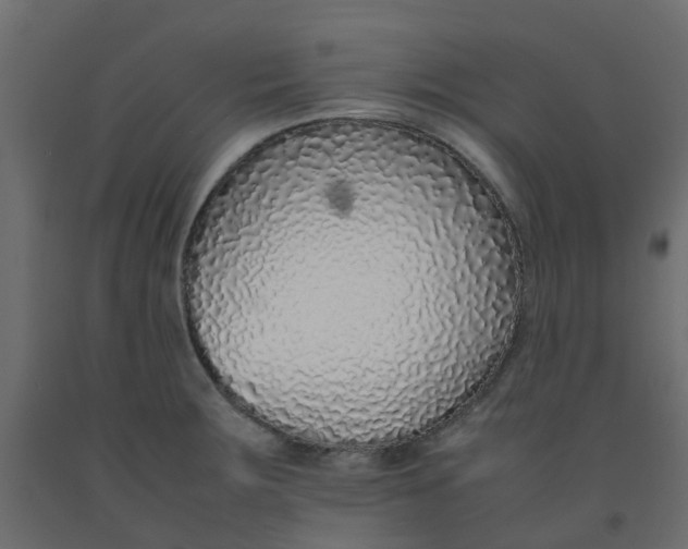 X0000092101283200710101114