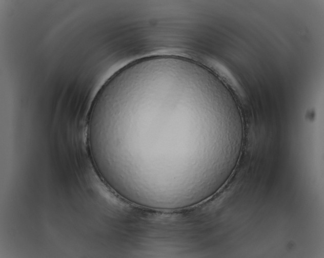 X0000092101284200710101114