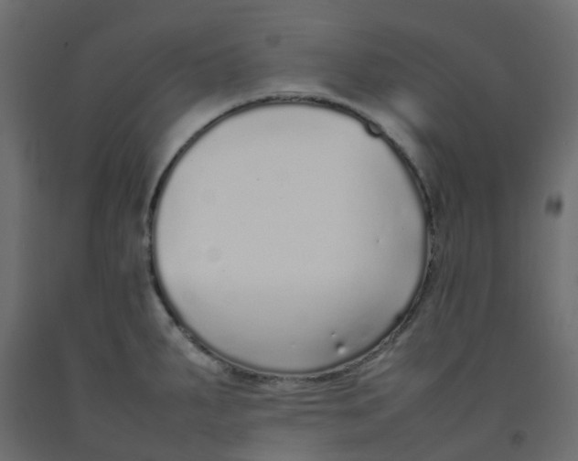 X0000092101287200710101114