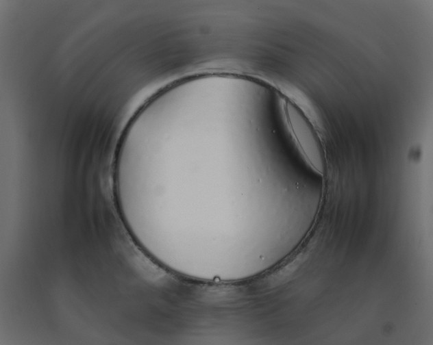 X0000092101288200710101114