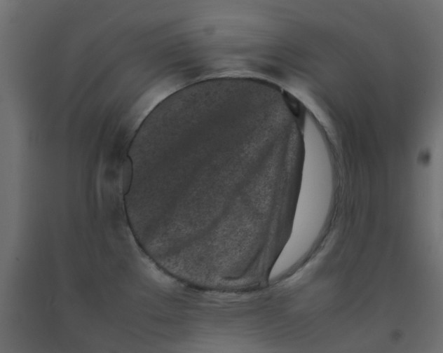 X0000092101289200710101114