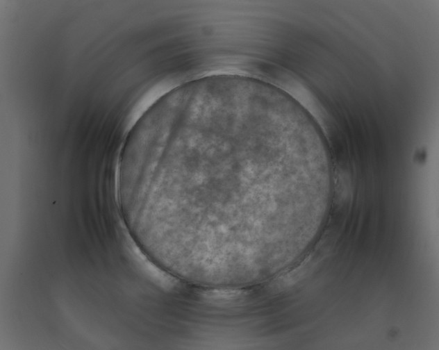 X0000092101290200710101114