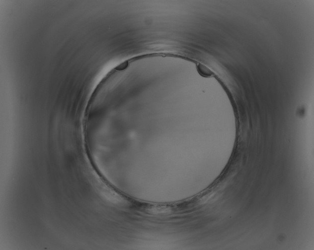 X0000092101291200710101114