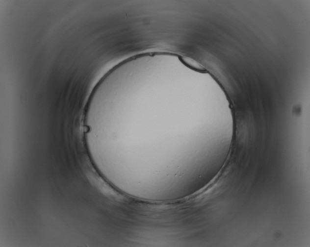 X0000092101292200710101114