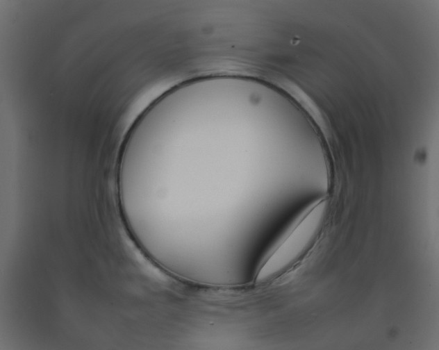 X0000092101293200710101114