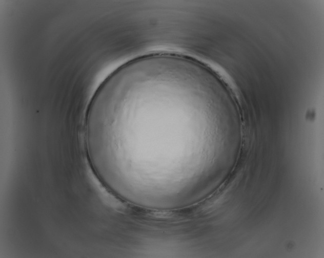 X0000092101295200710101114