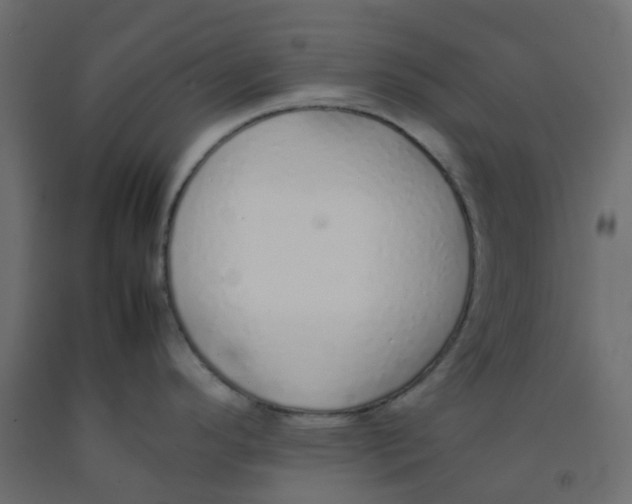 X0000092101296200710101114