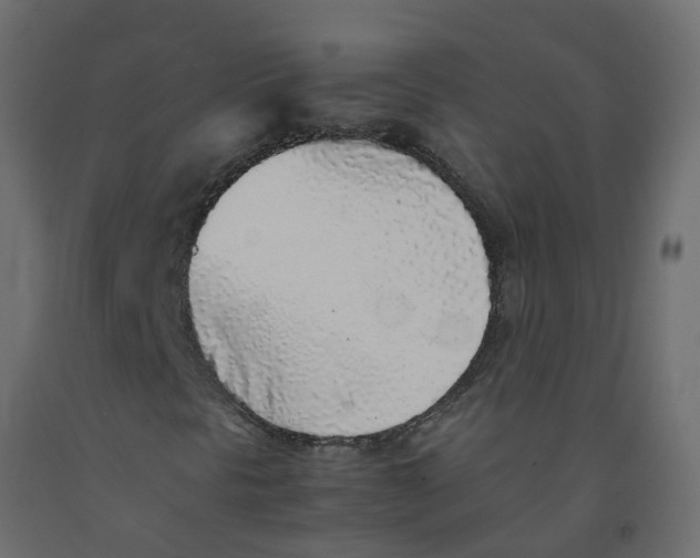 X0000092101297200710101113