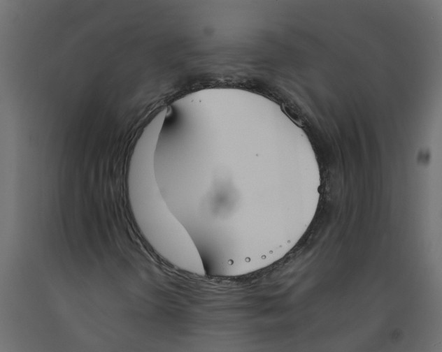 X0000092101298200710101113