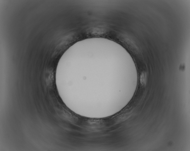 X0000092101299200710101113