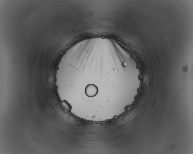 X0000092101300200710101113