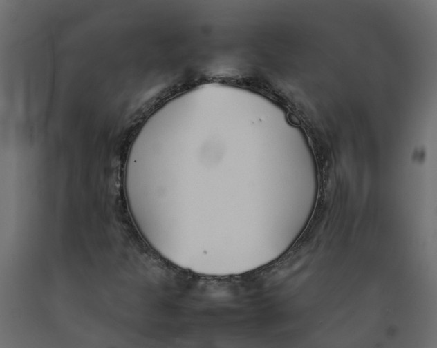 X0000092101301200710101113